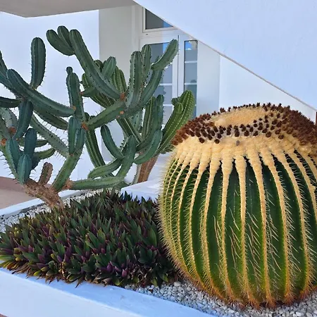 Апартаменти Malibu Park With Ocean View *