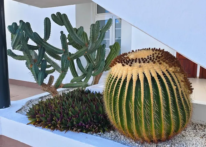 Апартаменти Malibu Park With Ocean View *